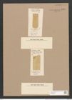 Surirella fusiformis Lend.-Fortm. (de-Toni-Nr.: Genus 53, Species 2280) Zeichnungen Sammlung Grunow Nr. 4734 (NHMW-BOT-W0372836)